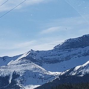 Meet your Posher, Jade